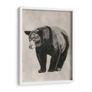 Lápiz Y Tinta Oso Ii - Naomi McCavitt | Cuadro decorativo de Canvas Lab