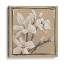 Estudio Floral Blanco Iii - Ethan Harper | Cuadro decorativo de Canvas Lab