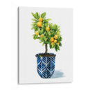 Árbol Frutal I - Grace Popp | Cuadro decorativo de Canvas Lab
