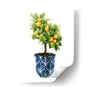Árbol Frutal I - Grace Popp | Cuadro decorativo de Canvas Lab