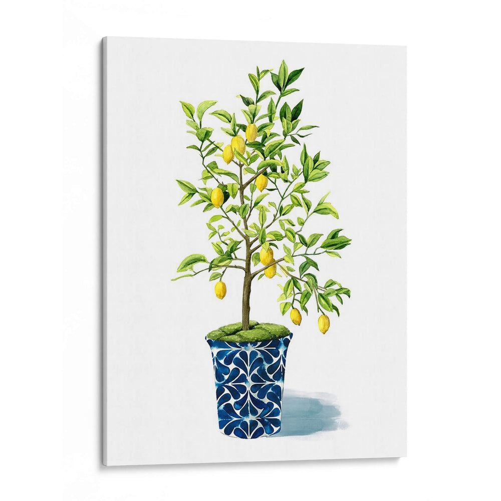 Árbol Frutal Ii - Grace Popp | Cuadro decorativo de Canvas Lab