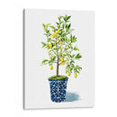 Árbol Frutal Ii - Grace Popp | Cuadro decorativo de Canvas Lab