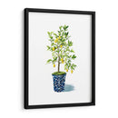 Árbol Frutal Ii - Grace Popp | Cuadro decorativo de Canvas Lab