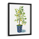 Árbol Frutal Ii - Grace Popp | Cuadro decorativo de Canvas Lab