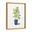 Árbol Frutal Ii - Grace Popp | Cuadro decorativo de Canvas Lab