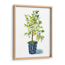 Árbol Frutal Ii - Grace Popp | Cuadro decorativo de Canvas Lab