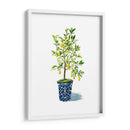 Árbol Frutal Ii - Grace Popp | Cuadro decorativo de Canvas Lab