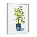 Árbol Frutal Ii - Grace Popp | Cuadro decorativo de Canvas Lab