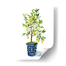 Árbol Frutal Ii - Grace Popp | Cuadro decorativo de Canvas Lab