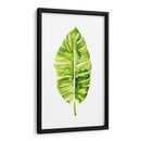 Estudio De Hoja De Plátano I - Grace Popp | Cuadro decorativo de Canvas Lab