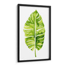 Estudio De Hoja De Plátano I - Grace Popp | Cuadro decorativo de Canvas Lab