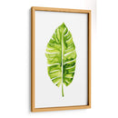 Estudio De Hoja De Plátano I - Grace Popp | Cuadro decorativo de Canvas Lab