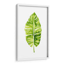 Estudio De Hoja De Plátano I - Grace Popp | Cuadro decorativo de Canvas Lab
