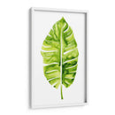 Estudio De Hoja De Plátano I - Grace Popp | Cuadro decorativo de Canvas Lab