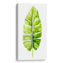 Estudio De Hoja De Plátano Ii - Grace Popp | Cuadro decorativo de Canvas Lab