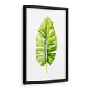 Estudio De Hoja De Plátano Ii - Grace Popp | Cuadro decorativo de Canvas Lab
