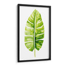 Estudio De Hoja De Plátano Ii - Grace Popp | Cuadro decorativo de Canvas Lab