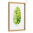 Estudio De Hoja De Plátano Ii - Grace Popp | Cuadro decorativo de Canvas Lab