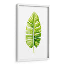 Estudio De Hoja De Plátano Ii - Grace Popp | Cuadro decorativo de Canvas Lab