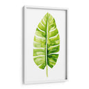 Estudio De Hoja De Plátano Ii - Grace Popp | Cuadro decorativo de Canvas Lab
