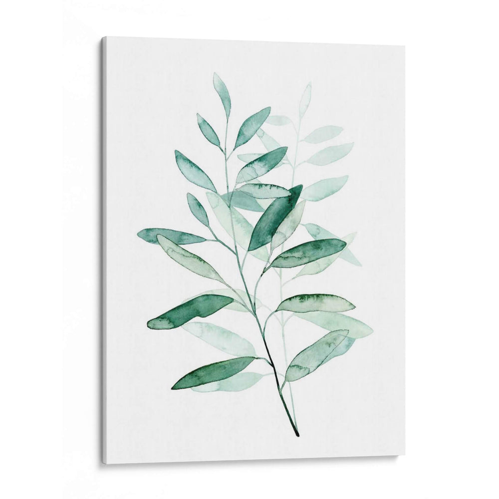 Sereno Reed I - Grace Popp | Cuadro decorativo de Canvas Lab