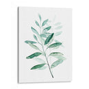 Sereno Reed I - Grace Popp | Cuadro decorativo de Canvas Lab