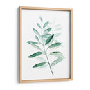 Sereno Reed I - Grace Popp | Cuadro decorativo de Canvas Lab