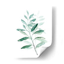 Sereno Reed I - Grace Popp | Cuadro decorativo de Canvas Lab
