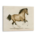 Clydesdale I - Grace Popp | Cuadro decorativo de Canvas Lab