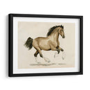 Clydesdale I - Grace Popp | Cuadro decorativo de Canvas Lab