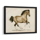 Clydesdale I - Grace Popp | Cuadro decorativo de Canvas Lab