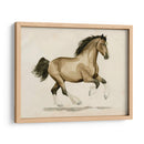Clydesdale I - Grace Popp | Cuadro decorativo de Canvas Lab
