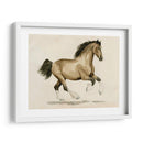 Clydesdale I - Grace Popp | Cuadro decorativo de Canvas Lab
