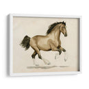 Clydesdale I - Grace Popp | Cuadro decorativo de Canvas Lab