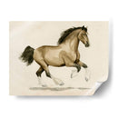 Clydesdale I - Grace Popp | Cuadro decorativo de Canvas Lab