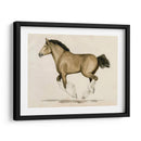 Clydesdale Ii - Grace Popp | Cuadro decorativo de Canvas Lab