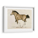 Clydesdale Ii - Grace Popp | Cuadro decorativo de Canvas Lab