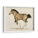 Clydesdale Ii - Grace Popp | Cuadro decorativo de Canvas Lab