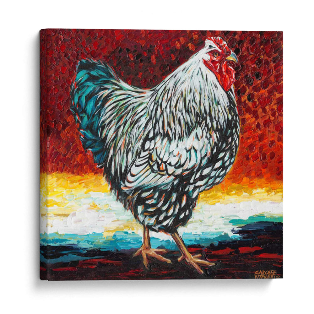 Fancy Chicken I - Carolee Vitaletti | Cuadro decorativo de Canvas Lab