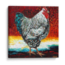 Fancy Chicken I - Carolee Vitaletti | Cuadro decorativo de Canvas Lab