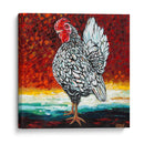 Fancy Pollo Ii - Carolee Vitaletti | Cuadro decorativo de Canvas Lab