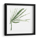 Impresiones Verdes Vi - June Erica Vess | Cuadro decorativo de Canvas Lab