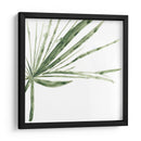 Impresiones Verdes Vi - June Erica Vess | Cuadro decorativo de Canvas Lab