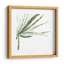 Impresiones Verdes Vi - June Erica Vess | Cuadro decorativo de Canvas Lab