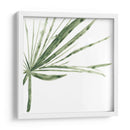 Impresiones Verdes Vi - June Erica Vess | Cuadro decorativo de Canvas Lab