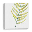Impresiones Verdes Vii - June Erica Vess | Cuadro decorativo de Canvas Lab