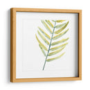 Impresiones Verdes Vii - June Erica Vess | Cuadro decorativo de Canvas Lab