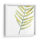 Impresiones Verdes Vii - June Erica Vess | Cuadro decorativo de Canvas Lab