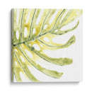 Impresiones Verdes Ix - June Erica Vess | Cuadro decorativo de Canvas Lab