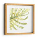 Impresiones Verdes Ix - June Erica Vess | Cuadro decorativo de Canvas Lab